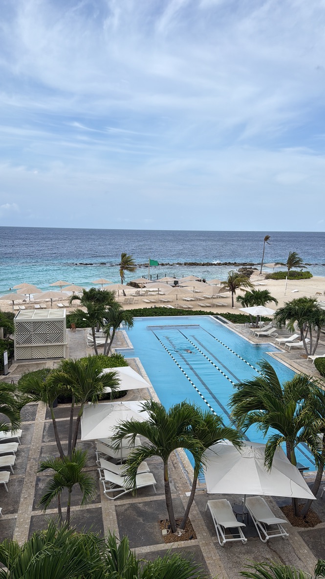 A long lap pool lined with palm trees and white umbrellas, the beach and the sea behind it