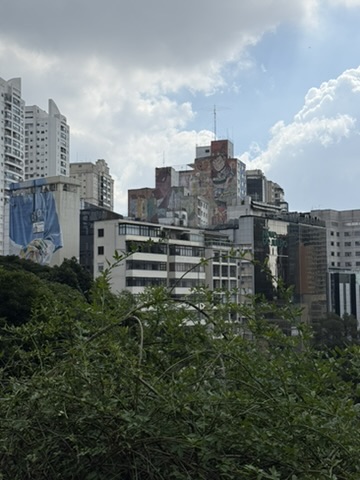 A view north from the museum over treetops to tower blocks painted with large murals, under a blue sky with white clouds