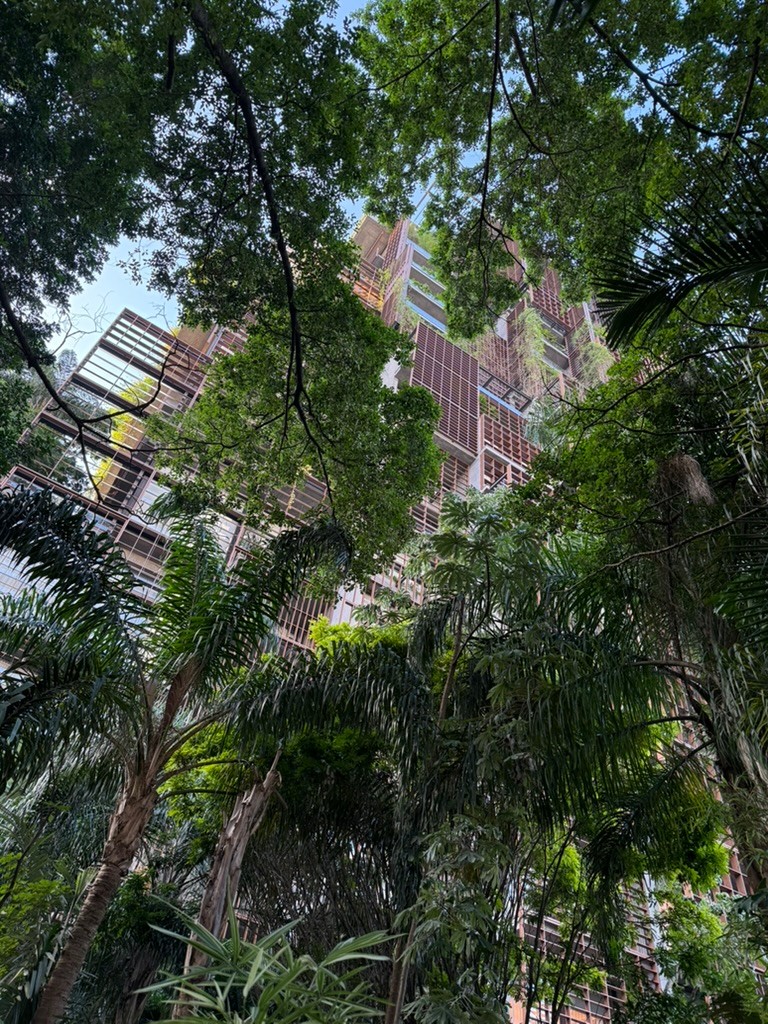 The tower's wooden shutters and hanging plants seen through the canopy of the garden's trees and palms