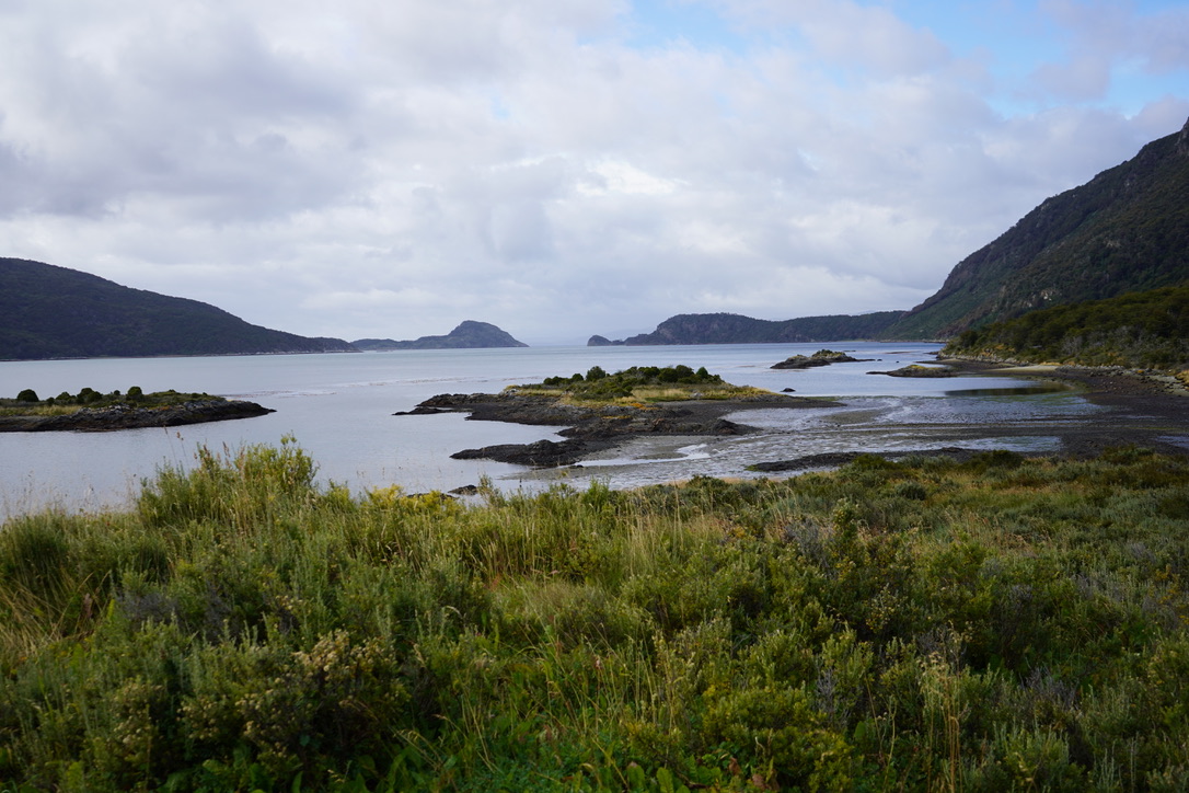 A calm bay with rocky islets and low scrub in the foreground, forested hills and a distant headland under a grey sky